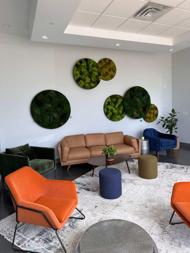 moss dental lobby colorful fun and inviting
