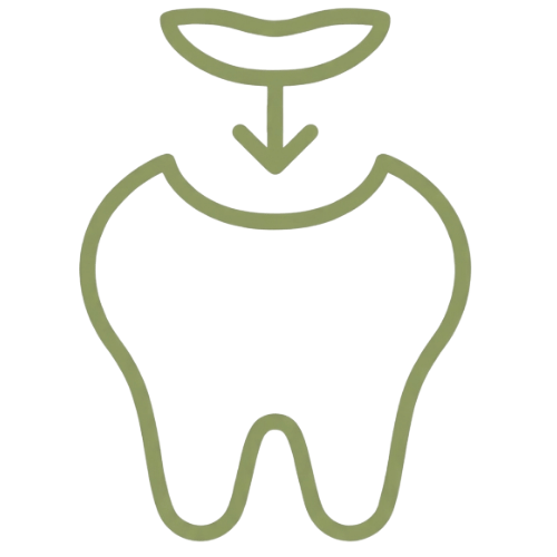 Dental Filling