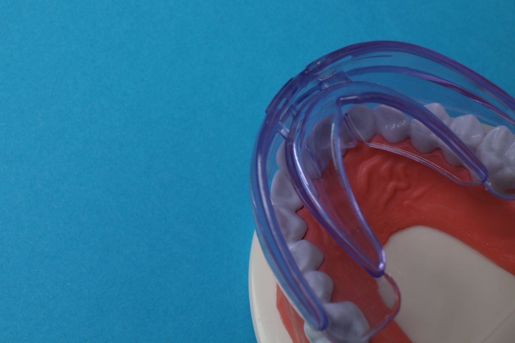 Toothbrush and jaw model for oral care
