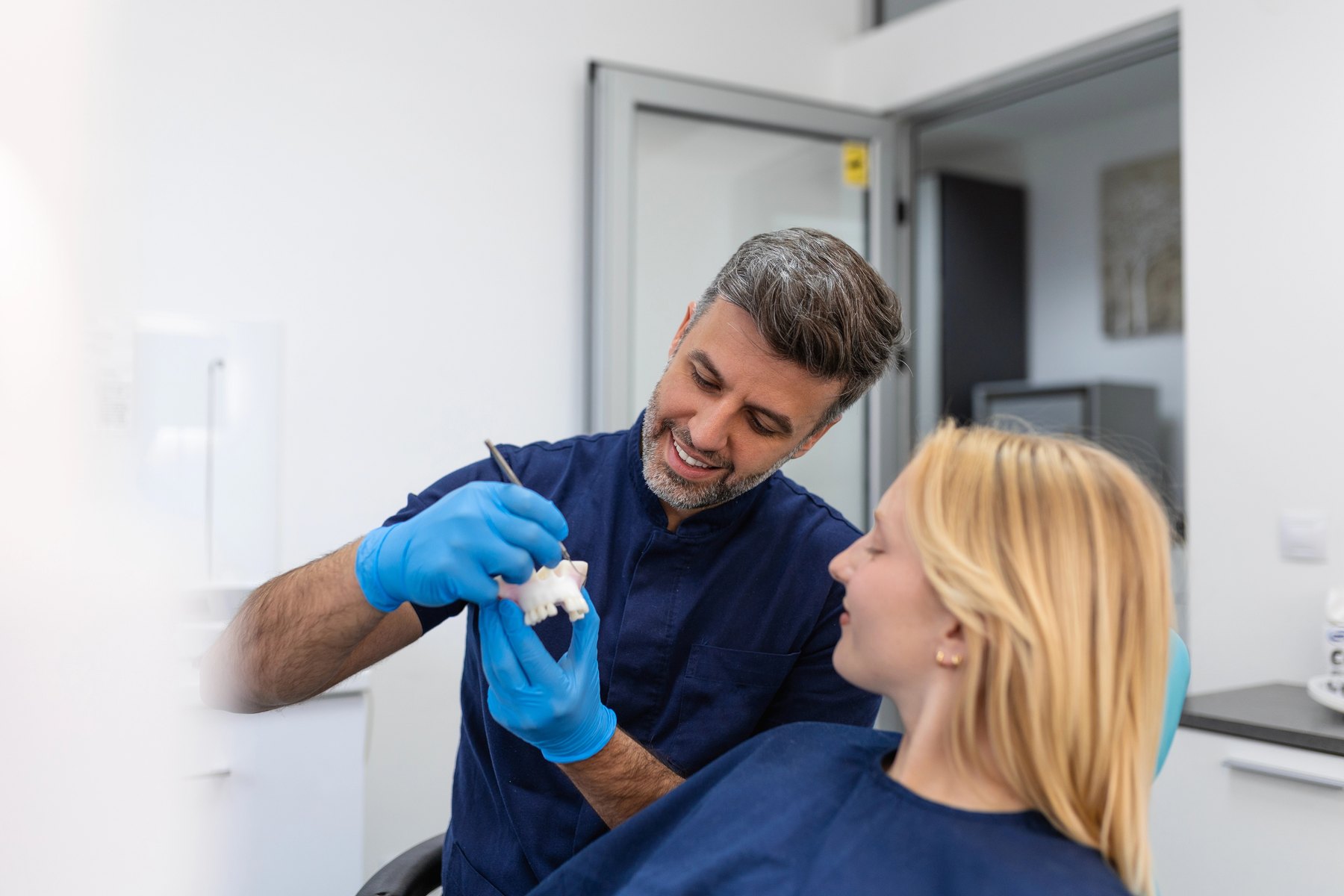Dentist showing a tooth model to a patient