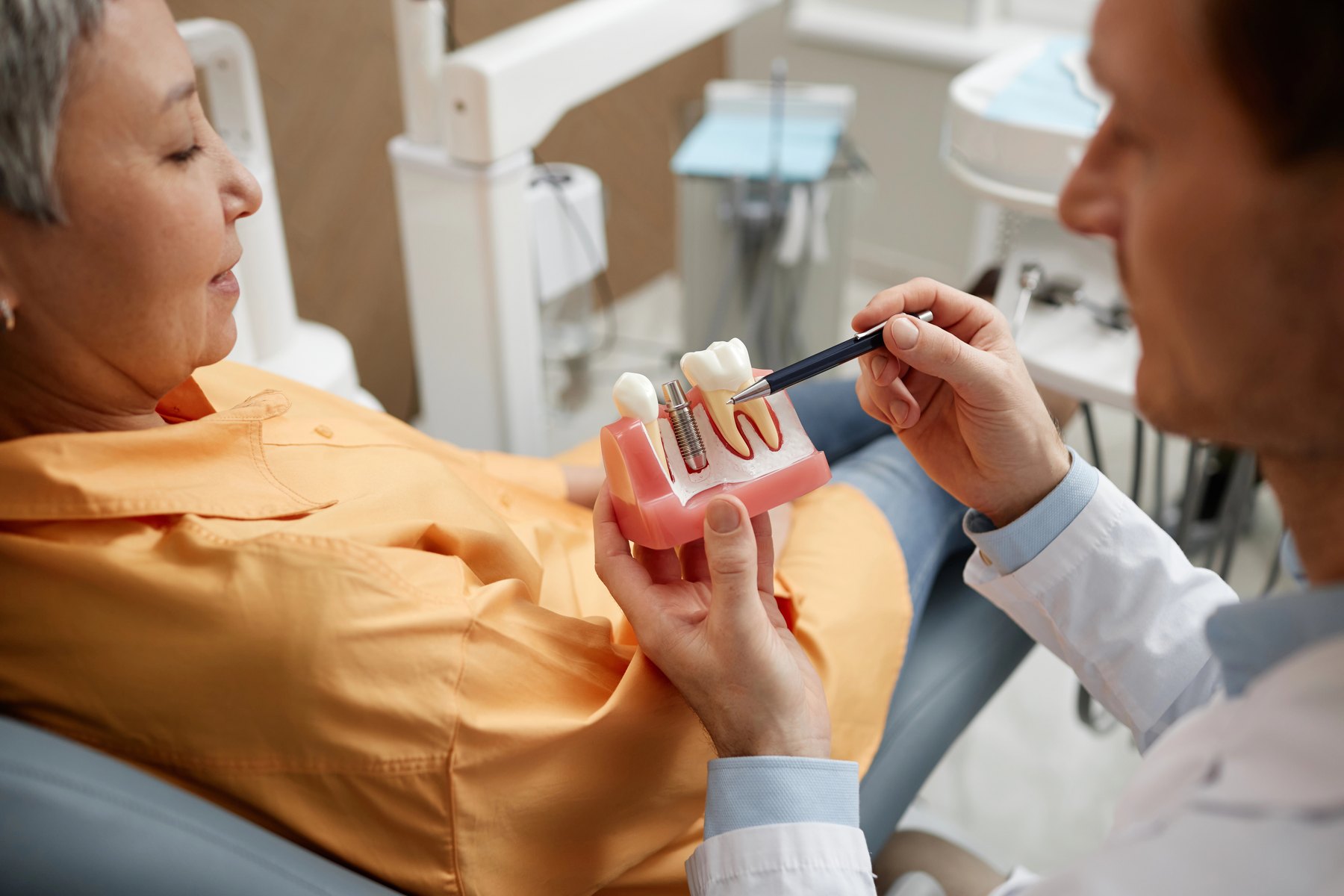 Dentist holding a tooth model during a patient consultation
