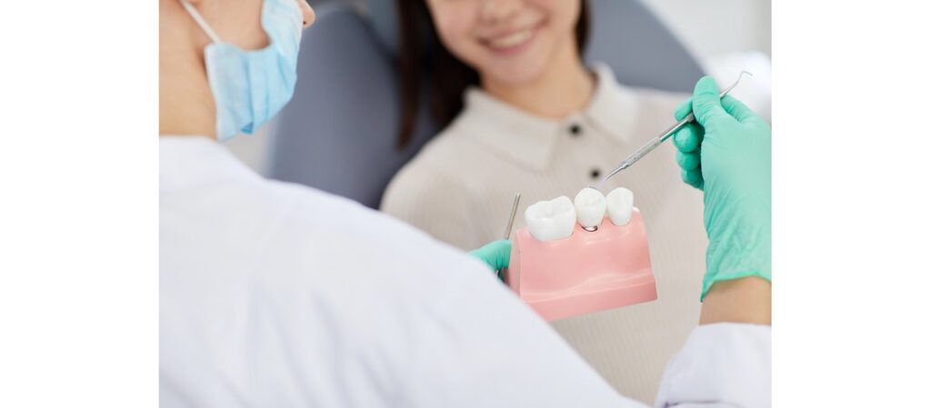 Dentist holding a tooth model and dental probe with a patient seated in the background.